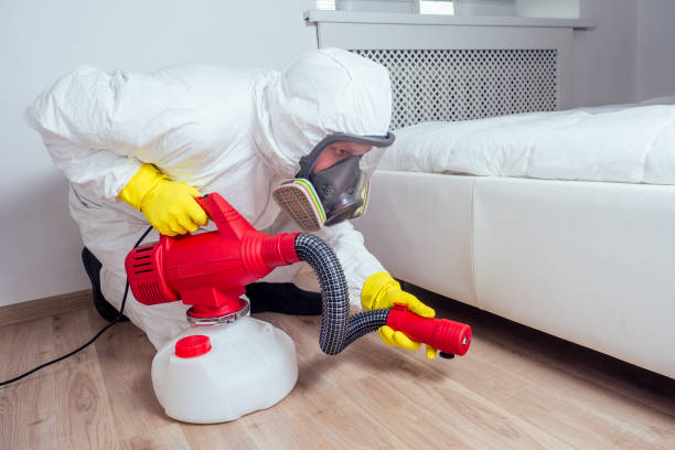 Pest Control for Restaurants in Pine Mountain Clu, CA