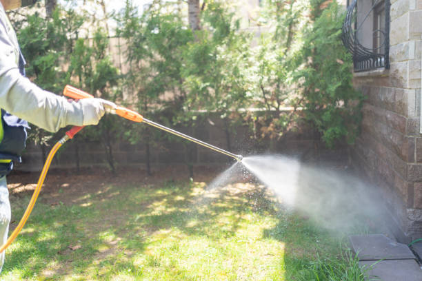 Best Pest Control Near Me in Pine Mountain Clu, CA