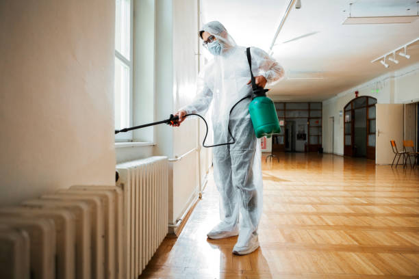 Wasp Removal Services in Pine Mountain Clu, CA