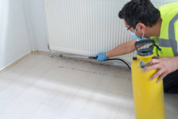 Best Pest Prevention Services  in Pine Mountain Clu, CA